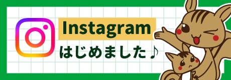 Instagramはじめました